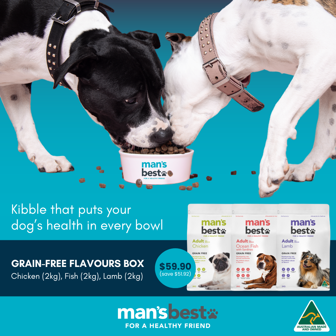 Man's Best Grain-Free Flavours Box