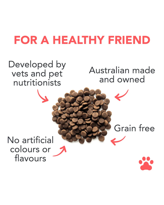 Man's Best Grain-Free Flavours Box