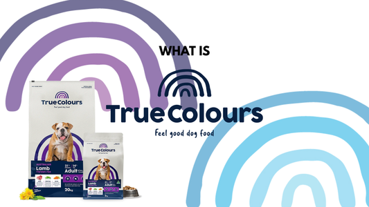 What is True Colours Dog Food