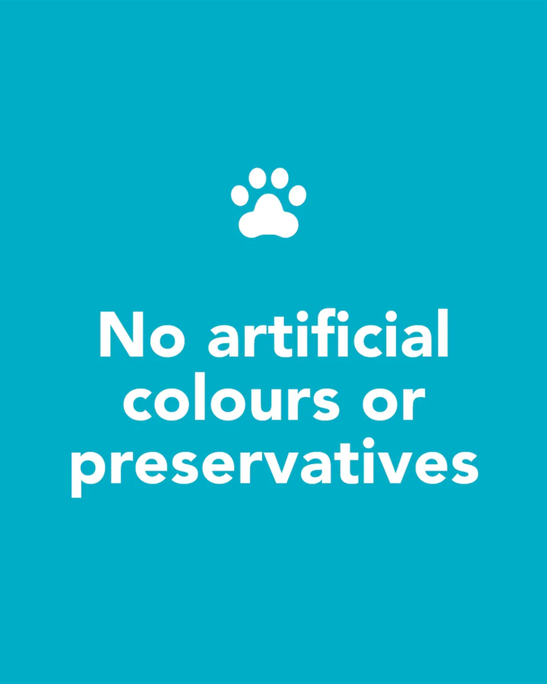 Man's Best Puppy Lamb Food